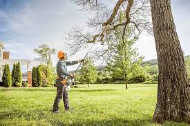 Best Arborist Consultation Services  in Glen Lyon, PA