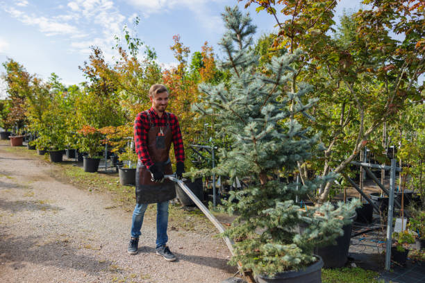 Best Tree Preservation Services  in Glen Lyon, PA